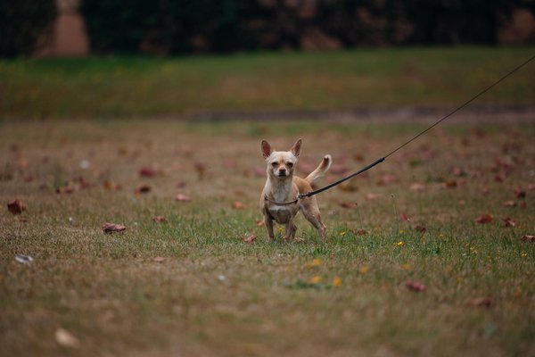 Maximize your business potential with reliable air compressor supply